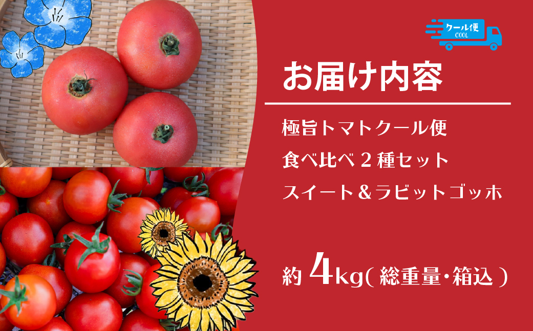 【2026年予約】極旨トマトクール便 食べ比べ2種セット 北海道壮瞥町産 スイート＆ラビットゴッホ 4kg 中玉トマト SBTAJ030