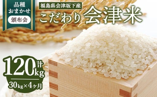 
            【おまかせ定期便】会津坂下産 こだわりの会津米（頒布会）30kg×4ヶ月（計120kg） ※北海道・沖縄・離島への配送不可 ※2025年11月上旬頃より順次発送予定
          