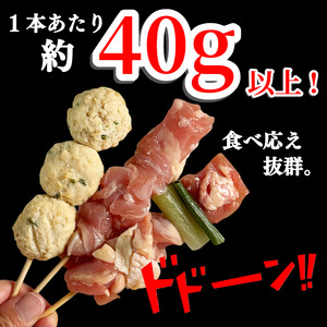 【とり信の特製タレ付き】焼き鳥 セット 54本 国産 焼き鳥