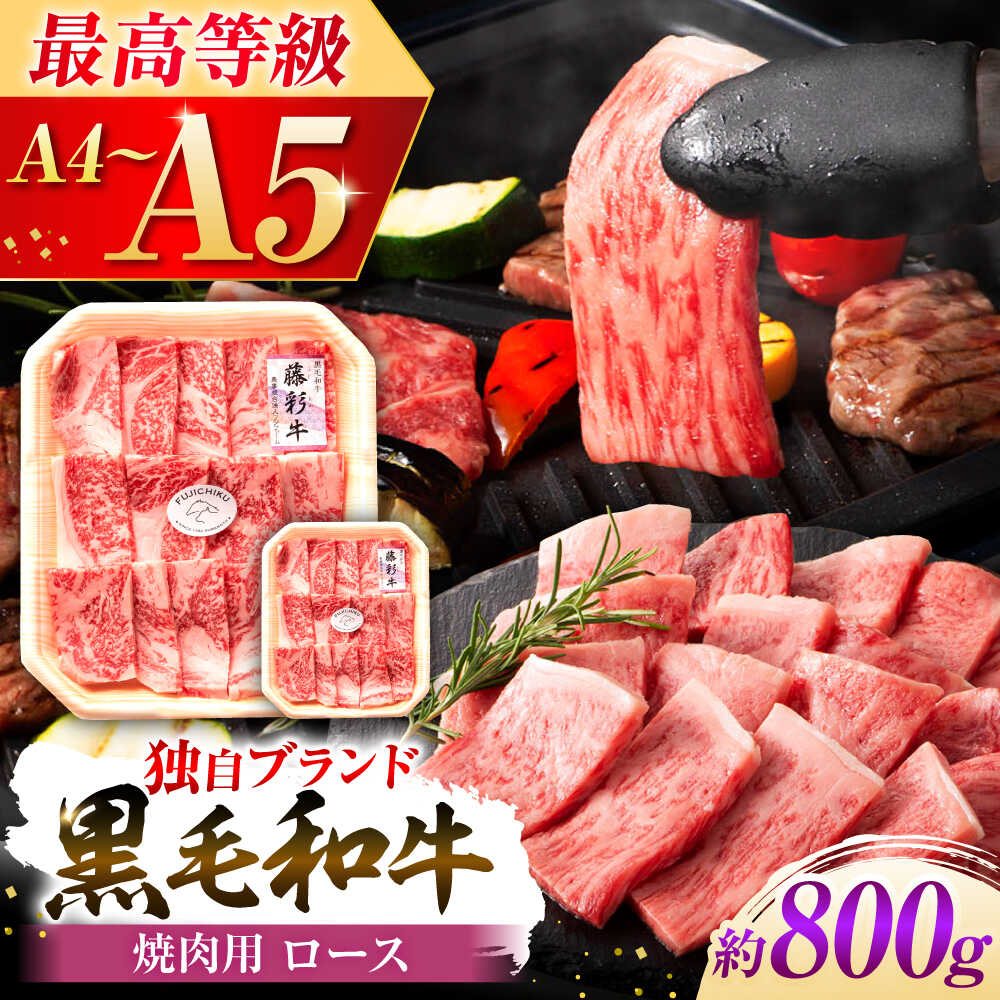 【ふるさと納税】フジチク 藤彩牛 ロース 焼肉用 約800g 牛肉 黒毛和牛 国産 400g 800g 牛 肉 焼き肉 やきにく ろーす 部位 熊本 菊陽 うし ぎゅう ぎゅうにく【株式会社フジチク】[BHAD118]