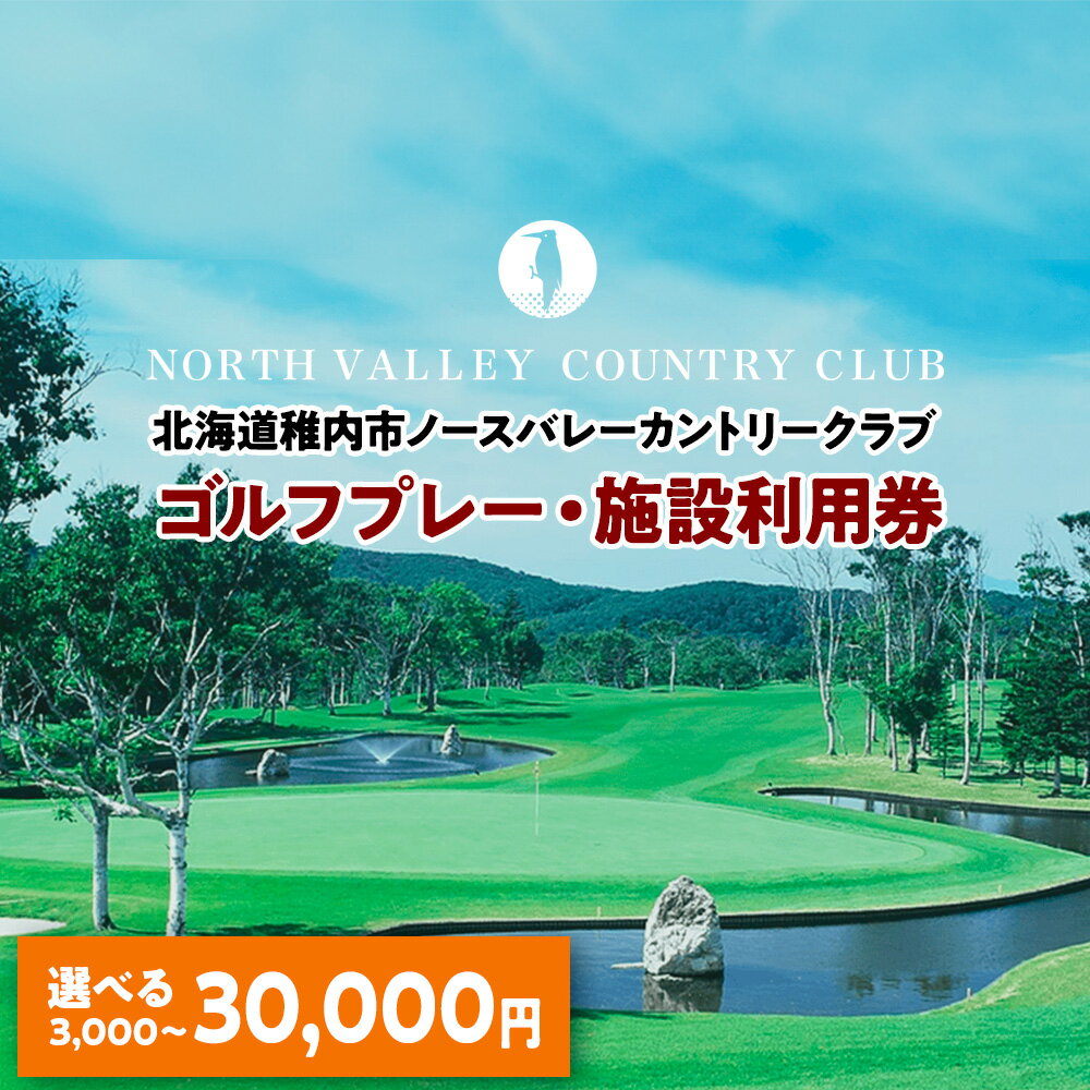 【ふるさと納税】ゴルフプレー・施設利用券 1000円×[3枚、6枚、9枚、12枚、15枚]ゴルフ スポーツ チケット 利用券 施設 アクティビティ 北海道ふるさと納税 稚内 ふるさと納税 北海道 【配送不可地域：離島・沖縄県】