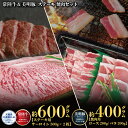 【ふるさと納税】常陸牛 600g ステーキ 美明豚 400g 焼肉 セット （茨城県共通返礼品）