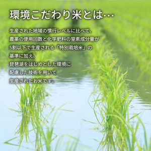 【 先行予約 】 新米 夢ごこち 白米 5kg