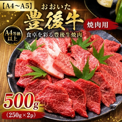 
                  ＜A4～A5＞おおいた豊後牛焼肉用 500g(250g×2p)【1764393】
                