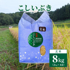 【数量限定】令和5年産|新潟上越清里東戸野産|新潟県限定品種こしいぶき8kg(2kg×4袋)玄米