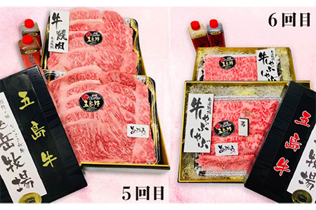 【日時指定必須】【6か月定期便】五島牛 定期便 (組合わせ自由) タイプA 五島市 / 鬼岳牧場 [PEK029] 長崎和牛 牛肉 長崎和牛 牛肉 長崎和牛 牛肉 長崎和牛 牛肉 長崎和牛 牛肉