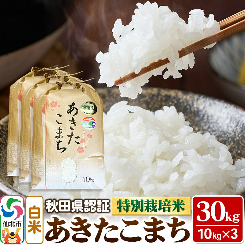 【ふるさと納税】あきたこまち（白米）10kg×3袋 計30kg 米 令和7年産 秋田県認証 特別栽培米 [白米 精米 あきたこまち アキタコマチ 秋田小町 産地直送 産直 お取り寄せ ごはん]