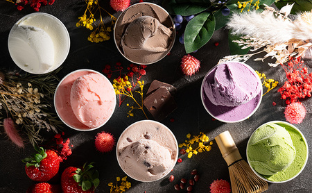 【ふるなびWEEK対象】gelatrip's selection ジェラート6個 BOX 北海道 上富良野町 アイス アイスクリーム ジェラート デザート ギフト 贈呈 贈り物 ミルク 生乳 牛乳 お