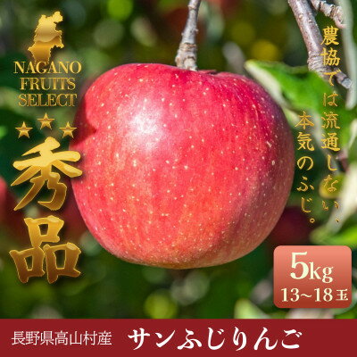 【ふるさと納税】ふじりんご 5kg(13～18玉)|常温配送・2025年12月以降発送|長野県高山村産【1691147】