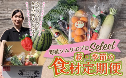 
            【選べる！】野菜ソムリエプロselect／萩・季節の食材定期便　｜HG0T0032
          