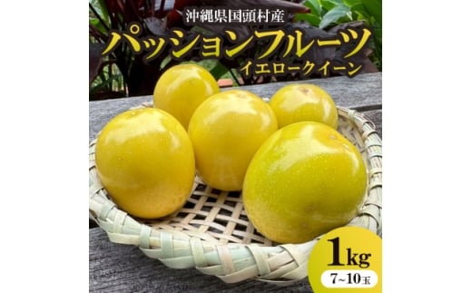 ＜2025年12月から順次発送＞国頭村産パッションフルーツ イエロークイーン 1kg(7～10玉)【1662107】