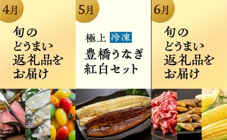 【定期便】どうまい定期便  全12回  / 愛知県 豊橋市