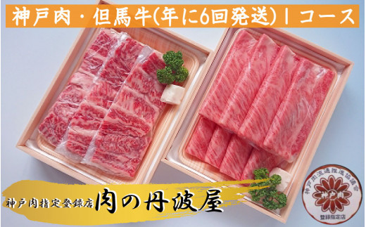 神戸ビーフ A5ランク 定期便 年6回 奇数月お届け 兵庫県丹波市産 黒毛和牛 Iコース ギフト対応 神戸牛 神戸肉