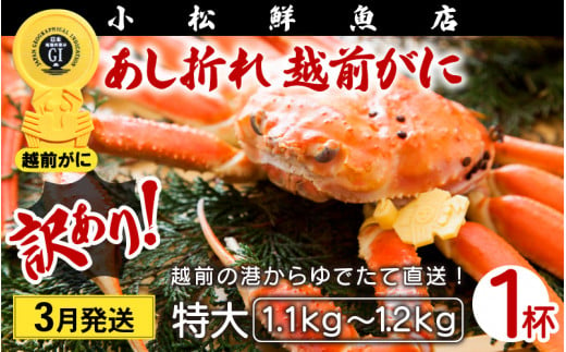 【訳あり】足折れ 越前がに 特大サイズ × 1杯（1.1～1.2kg）地元で喜ばれるゆで加減・塩加減で越前の港から直送！【雄 ズワイガニ ずわいがに 姿 ボイル 冷蔵 福井県】【3月発送分】希望日指定可 備考欄に希望日をご記入ください [e23-x014_03]