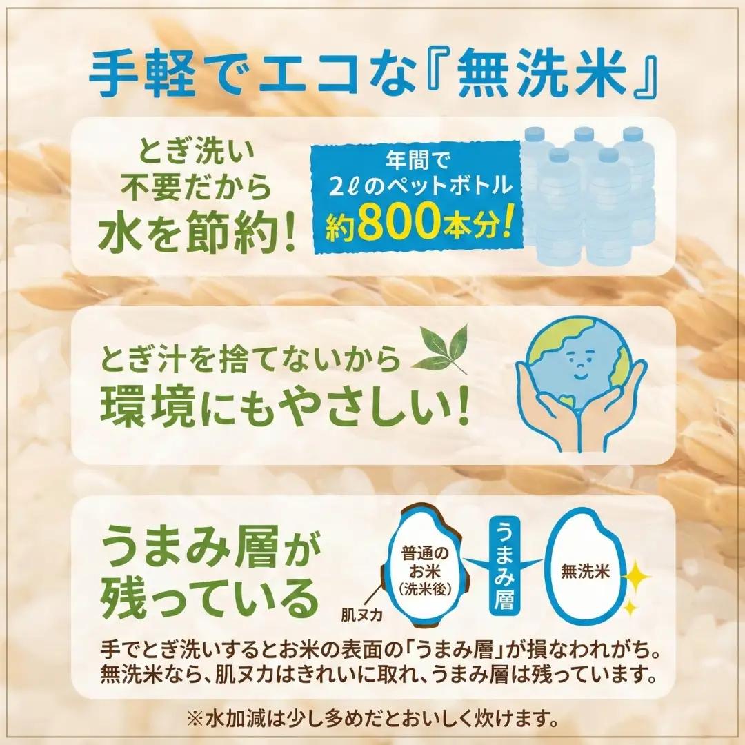 魚沼産コシヒカリ 無洗米 5kg 新潟県 | おこめ 5キロ×1袋 特A評価 無洗