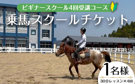 【 乗馬 スクール チケット 】ビギナー スクール 30分レッスン×3回 小学1年生以上  体験 チケット (1名様)【曽於市観光協会】 D40