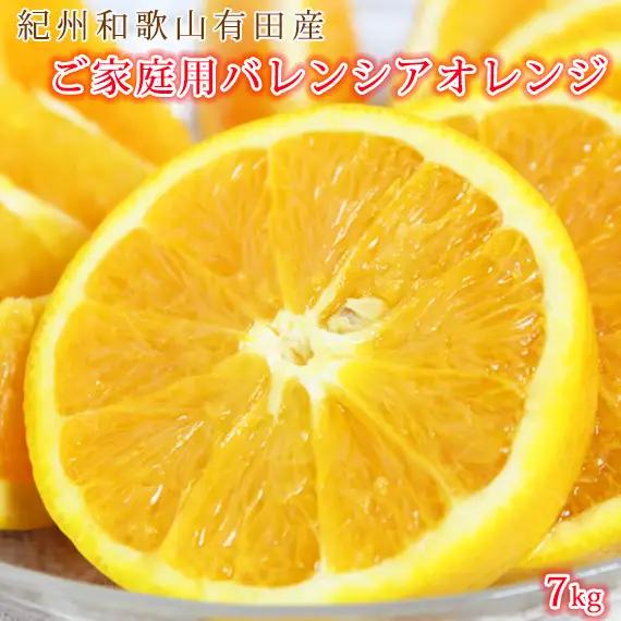 【2027年先行予約】希少な 国産 バレンシアオレンジ 7kg 【家庭用 訳あり】【国産オレンジ オレンジ 柑橘 フルーツ 和歌山 有田】_G7080