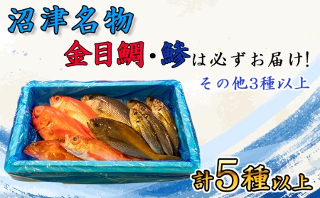 【価格改定予定】旬 鮮魚 セット 4kg 朝獲れ 沼津 駿河湾 金目鯛 鯵