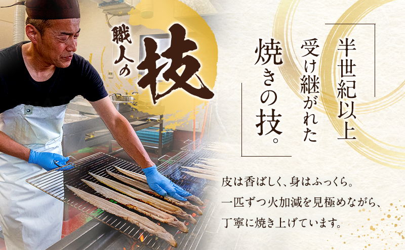 熟練職人の手焼き焼き穴子3P600g(約3～4人分)しぐれ煮60g付　職人目利き韓国産穴子使用　あなご 穴子めし あなご丼 グルメ 冷凍 家庭用 兵庫県 姫路市