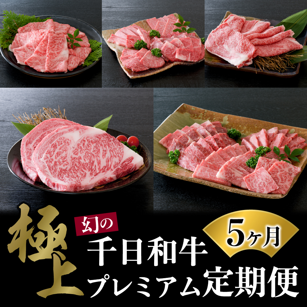 【数量限定】★肉の至宝★ 幻の山形牛【千日和牛】旨味とろける極上和牛5ヶ月定期便