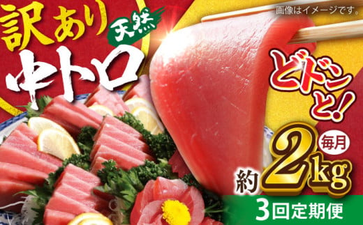 【全3回定期便】【訳あり】天然 まぐろ 中トロ（約2kg）マグロ 定期 鮪 まぐろ 中とろ 刺身  定期便 マグロ定期【横須賀商工会議所 おもてなしギフト事務局（本まぐろ直売所）】 [AKAK053]