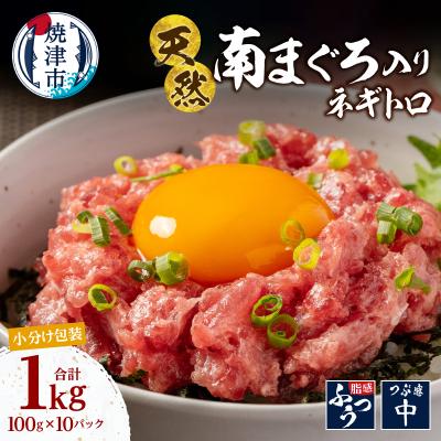 ふるさと納税 焼津市 ミナミマグロ入り マグロのたたき 焼津 海の極 ネギトロ 冷凍(100g× 10)(a15-710)