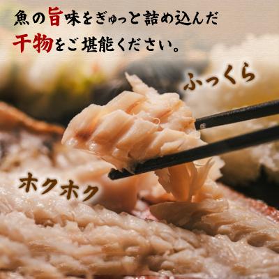 ふるさと納税 真鶴町 魚伝特製干物セット詰め合わせ 真鶴町返礼品人気ランキングNo.1 (冷凍) |  | 02