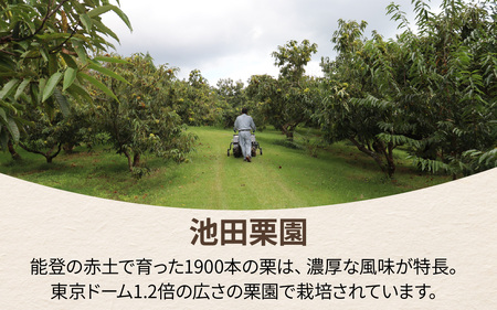 【先行予約】池田栗園の能登栗（むき栗）600g（300g × 2パック）Lサイズ以上【2025年9月下旬以降順次発送】/ 能登半島 奥能登 くり マロン 和栗 焼き栗 栗ごはん 焼き栗 国産 果物 秋