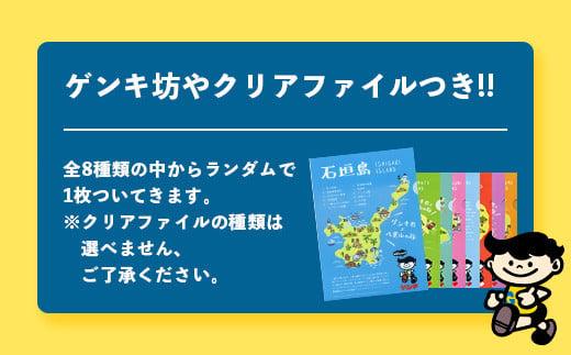 【ふるさと納税限定】【定期便_2回】ゲンキ牛乳バリューセット【八重山ゲンキ乳業】【日本最南端の乳業】【伊盛牧場産 生乳100％使用】GN-3_2t 定期便2回