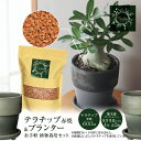 【ふるさと納税】三河焼 植木鉢 ダークシルバー 4号 テラチップ赤焼 プランター お手軽 植物栽培セット 陶器 三河 インテリア 三河陶器 観葉植物 癒やし 園芸 テラチップ いぶし お取り寄せ 丸俊セラミック 愛知県 碧南市 送料無料