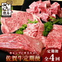 【ふるさと納税】高級肉【定期便4回】 キャンプにおススメ 佐賀牛 食べ比べ 定期便 アウトドア サーロインステーキ 焼肉 サイコロステーキ 赤身ブロック 焼肉 ステーキ 満足 ご褒美 オススメ イチオシ 人気 美味しい 送料無料 I-31