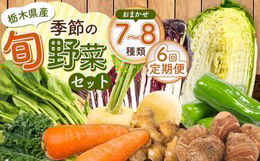 【定期便6回】季節の旬野菜おまかせセット 7～8品目 | 定期便 農薬不使用 化学肥料不使用 珍しい 栃木県 下野市