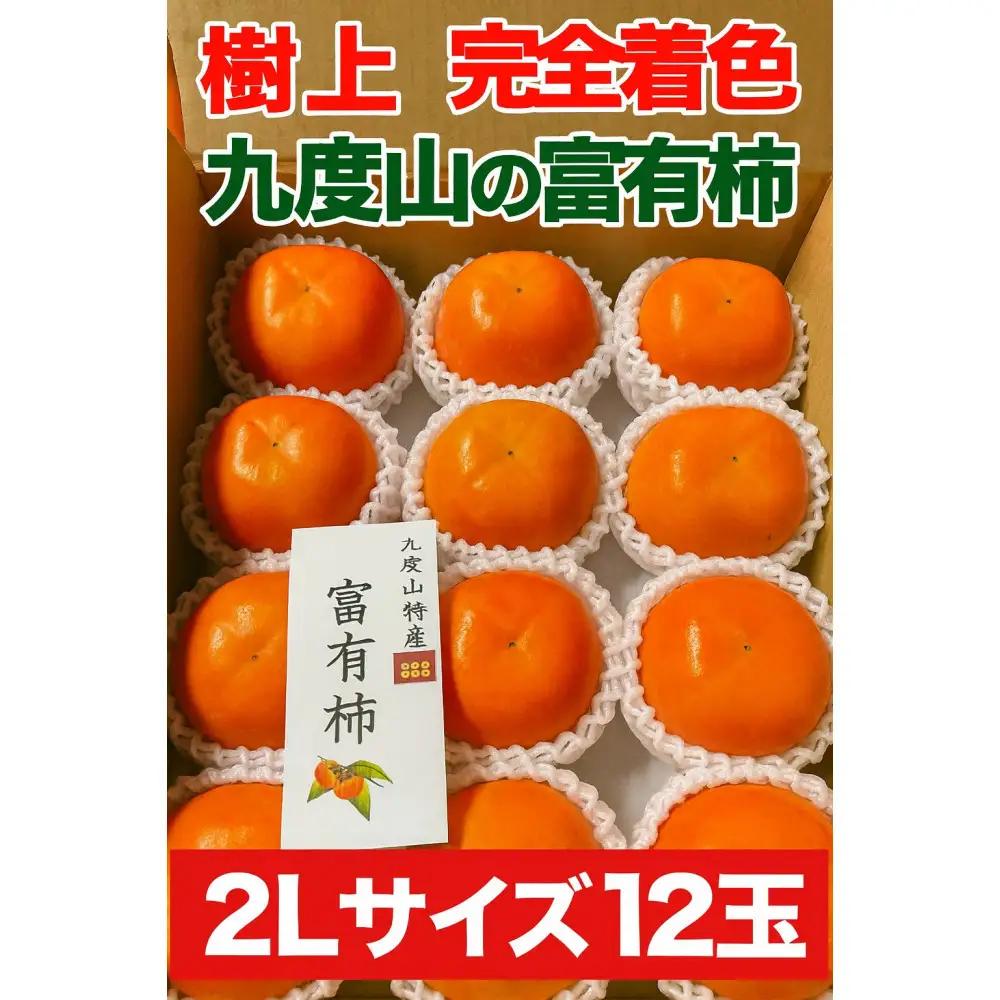 【2026年発送】こだわりの樹上完全着色「九度山の富有柿」2Lサイズ12玉
