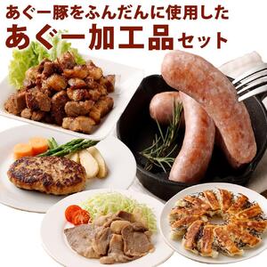 「あぐー加工品」セット｜あぐー豚 ( 惣菜5種 )  豚肉 フレッシュミートがなは｜あぐー　豚肉　人気