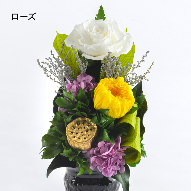 蓮華 (れんげ) 花 お花 プリザーブドフラワー ギフト プレゼント お祝い 誕生日 お供え アレンジ インテリア 東京都 墨田区【胡蝶蘭/単品】