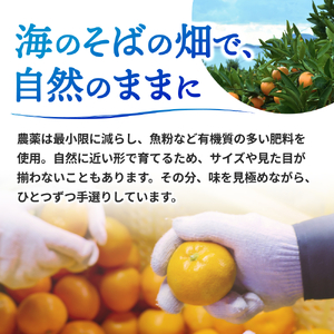 大好き みかん 5kg ご家庭用 サイズ混合 / 温州みかん 有田みかん 甘い 柑橘 和歌山 ※2026年11月中旬から2027年1月上旬に順次発送予定 【nkh004-c-5】