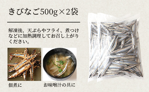 枕崎産 きびなご【合計2kg】冷凍 一夜干し 唐揚げ用 詰め合わせ A3−110【配送不可地域：離島】【1166367】