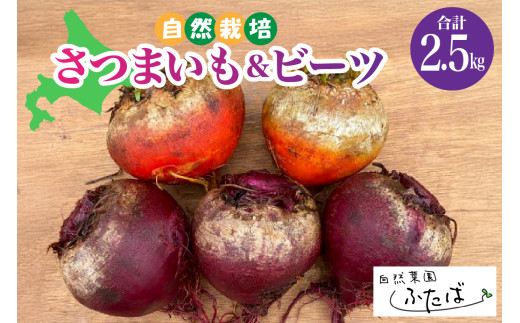 【2月より順次発送】北海道十勝芽室町　自然菜園ふたば　宇佐美亮のさつまいもとビーツセット　2.5kg　me074-009c