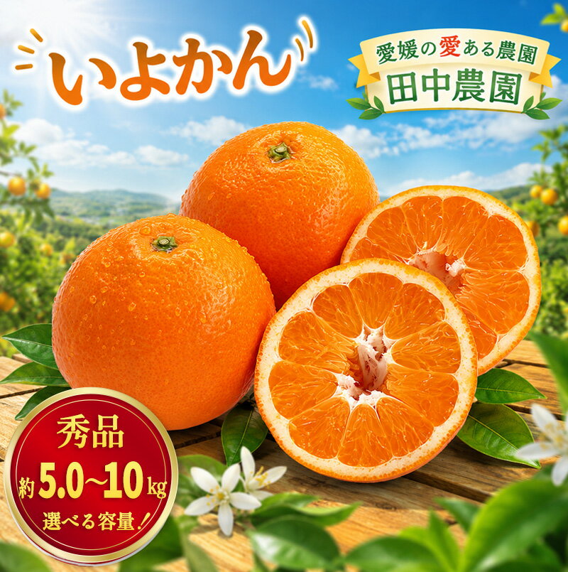 【ふるさと納税】 【2027年1月上旬から順次発送】伊予柑 約5kg /10kg 秀品 （ 伊予柑 いよかん 柑橘類 先行予約 フルーツ 柑橘類 果物 フルーツ みかん イヨカン 宮内伊予柑 人気 おすすめ 愛媛 松山 田中農園 ）
