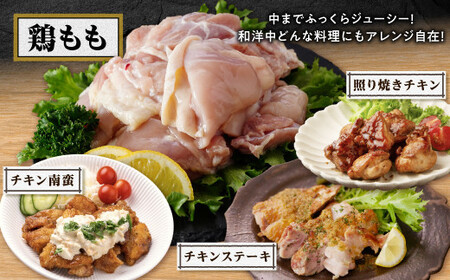 桜島鶏もも(特製ブライン液仕込み・下味付き) 小分けパック 2.4kg(8パック)