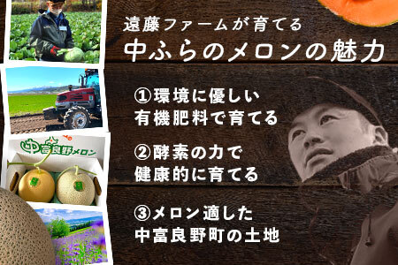 【特大サイズ】遠藤ファームの中富良野メロン　青肉特大2玉4kg以上【AX-008】