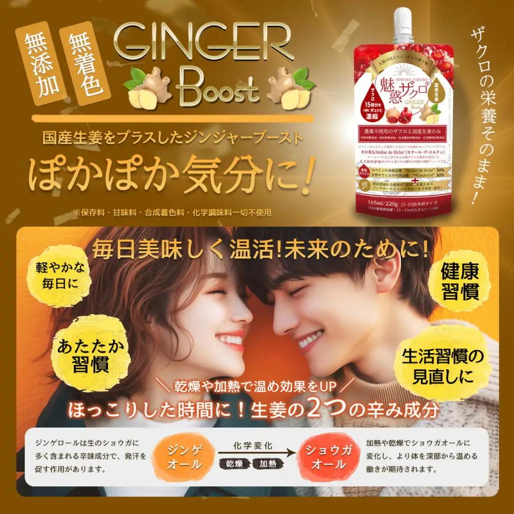 【全3回】魅惑ザクロ GINGER Boost(福岡市返礼品)【4袋入り】