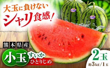 【2026年発送分 先行予約】【数量限定】小玉すいか 2玉入（1玉 約3kg） スイカ[AYAB056]