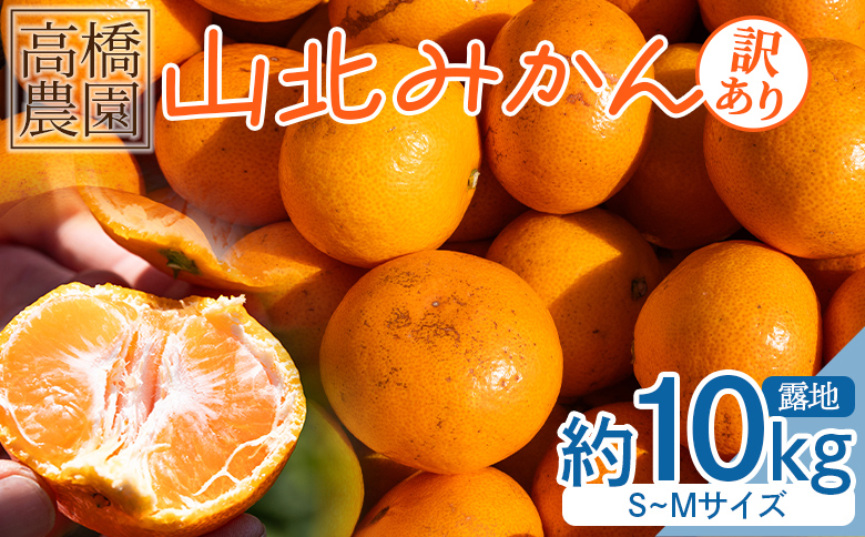 みかん 10kg 山北みかん 家庭用 露地(Ｓ～Ｍ)Ｂ品 小傷あり 高橋農園 - フルーツ 果物 くだもの 柑橘類 ミカン 蜜柑 小傷あり 家庭用 季節限定 期間限定 th-0011