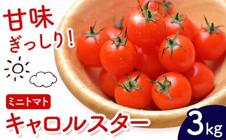 ミニトマト キャロルスター 約3kg ますだふぁーむ《7月上旬-11月末頃出荷》熊本県 南阿蘇村 キャロルスター 野菜 旬 夏野菜 トマト