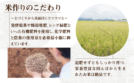 【コシヒカリ3回定期便】コシヒカリ20kg ハーベストジョイ[mt091]