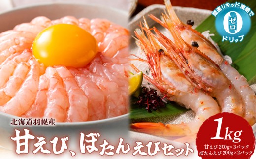 
            超速リキッド凍結でドリップゼロ！北海道羽幌産甘えび・ぼたんえびセット計1kg【0311701】
          