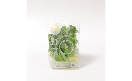 なばリーフ アソート セット フリルレタス 3p グリーンリーフレタス 2p ケール 2p【計7p入/ 時短 野菜 特殊フィルム包装】