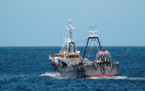 あけぼの丸と浜の匠が贈る高級のどぐろ一夜干しお手頃セット 魚介類 魚貝類 魚 のどぐろ 干物 干もの 一夜干し 御中元 御歳暮 ギフト 新鮮 厳選 海鮮 セット 個包装【1393】