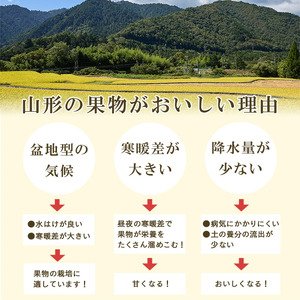 【令和6年産】サンふじりんご ラ・フランス詰合せ 2.5kg ＜2024年11月頃より順次配送＞ 012-B-MM072